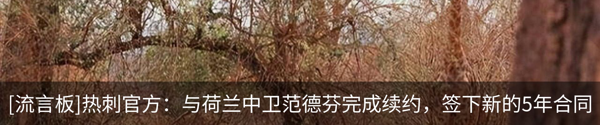 热点资讯
